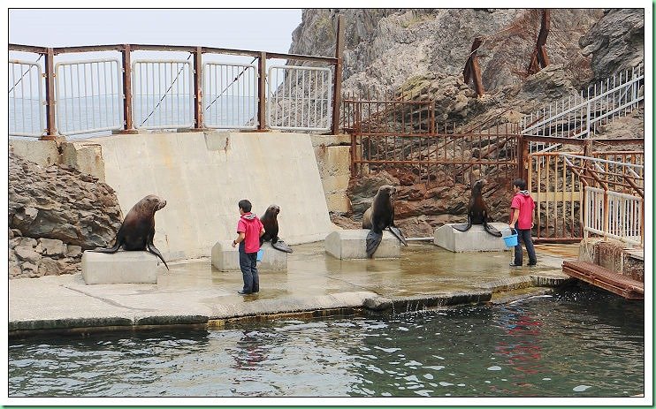 20140725_002 小樽水族館 030s