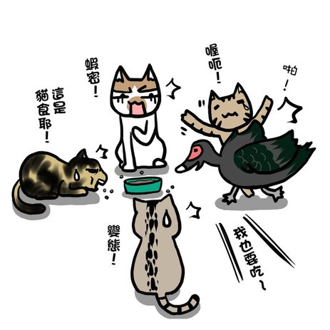街頭巷尾貓1-2.jpg