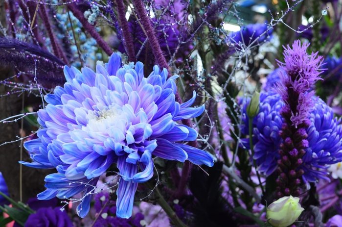 士林官邸 花季展覽/時間/門票~台北人的都市後花園..