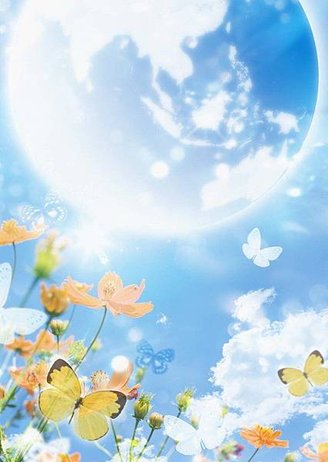sun &amp; flower