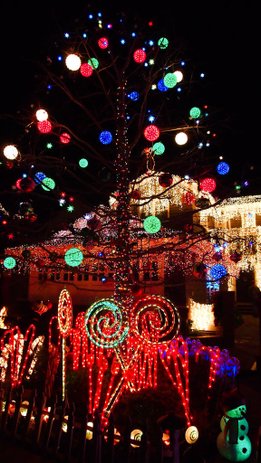 San Carlos Christmas Tree Lane-16.jpg