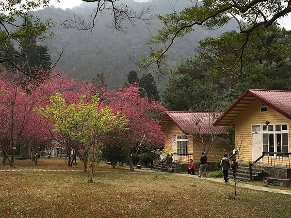 【南投頂級民宿推薦】幾乎是無可挑剔的秋山居 ( 已改為會員制