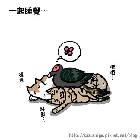 街頭巷尾貓1-4.jpg