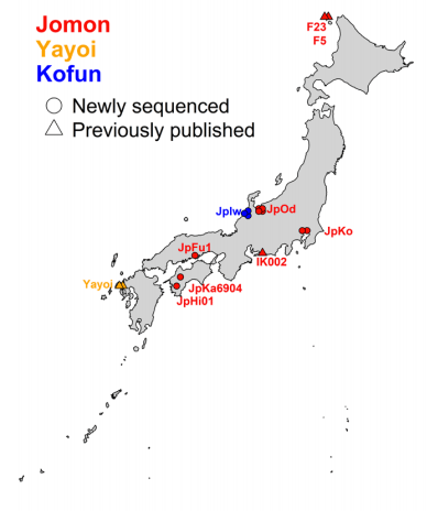 日本古代DNA，彌生，古墳時代的情慾流動