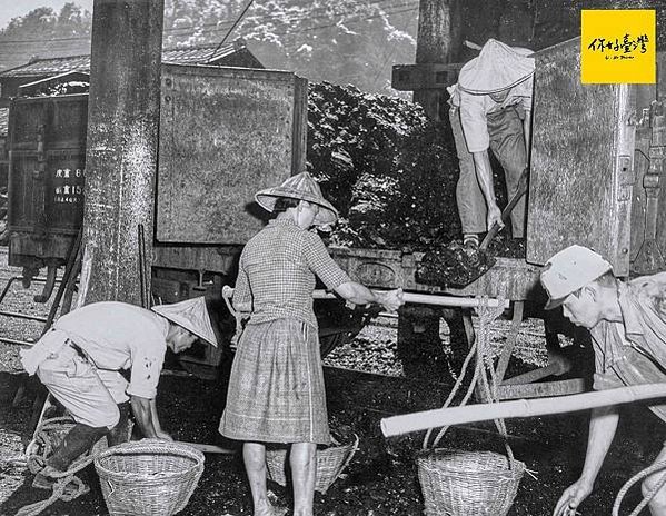 女礦工/林首，1936年生，17-18歲跟著養父到瑞三煤礦工