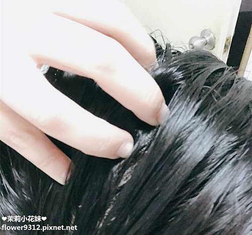 Scalp X頭皮科研養髮三部曲 (10).JPG