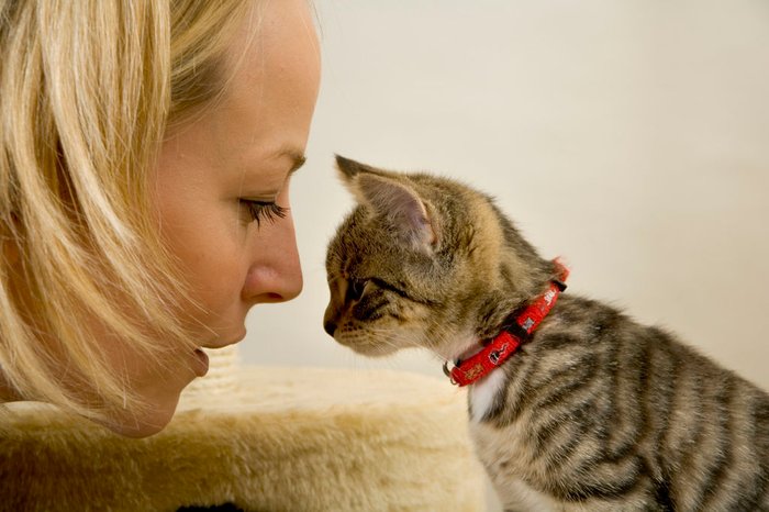 iStock_000006097548Medium.jpg