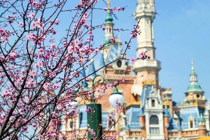 Top Các Địa Điểm Du Lịch Thượn