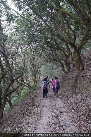 路上風景