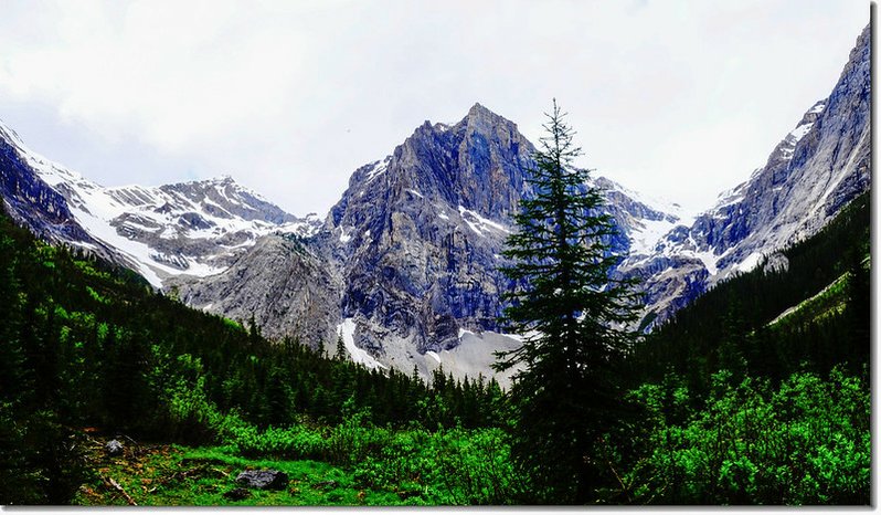 Emerald Basin resides beneath Presidential Mountains in Yoho National Park 1