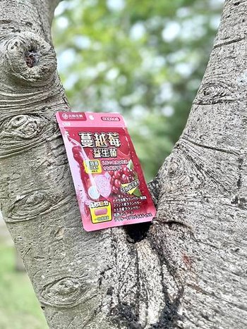 大島生醫 蔓越莓膠囊：為健康加分