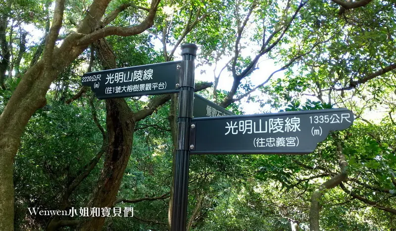 2020.08 新北微笑山線 親子登山步道  光明山稜線步道 (1).jpg