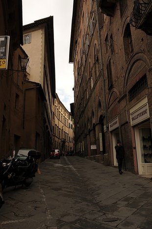 DSC_0422.JPG