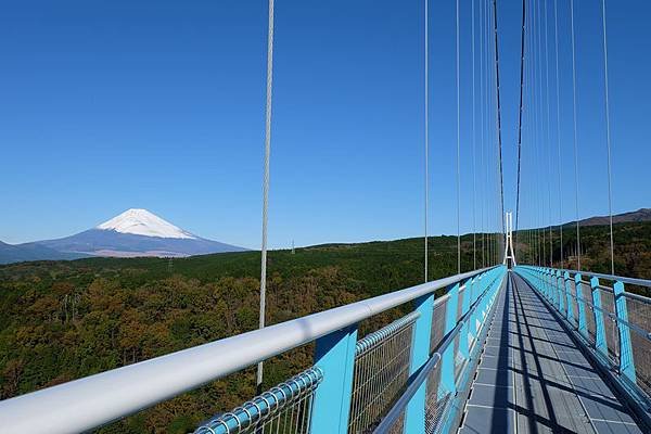 水鄉三島市  三嶋大社  御殿川  三島大吊橋