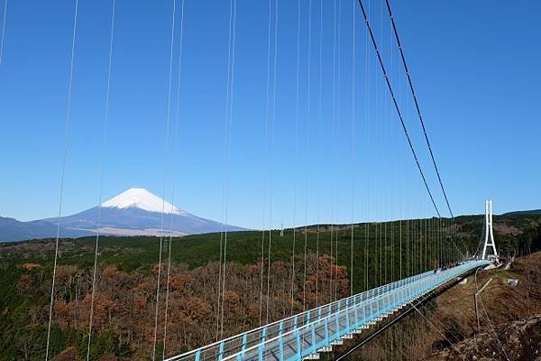 水鄉三島市  三嶋大社  御殿川  三島大吊橋