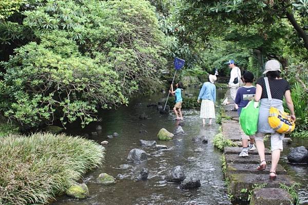 水鄉三島市  三嶋大社  御殿川  三島大吊橋