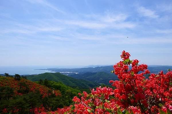 氣仙沼 與海共生的港口小鎮