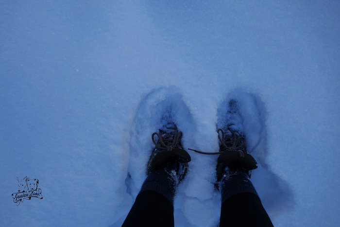 積雪挺深的