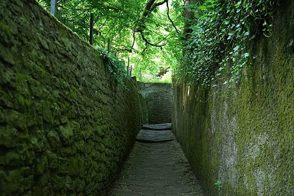 《德國》Heidelberg｜居高臨下的海德堡城堡。哲學家小