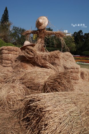 5 台南私藏景點之鄉土風情畫   (4)