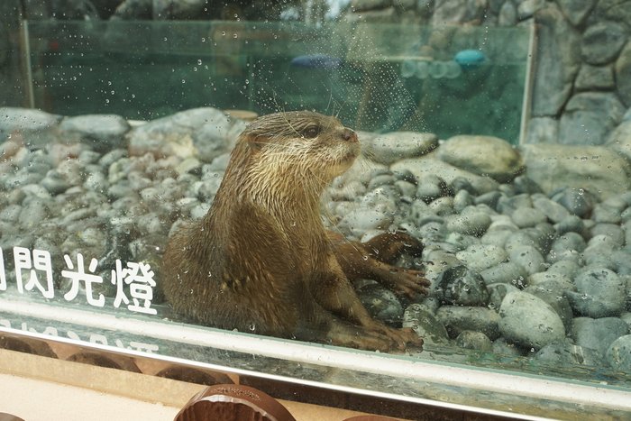DSC02989.JPG