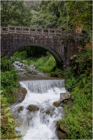image006.png