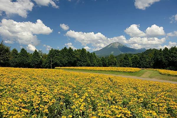 「伯耆富士」鳥取大山