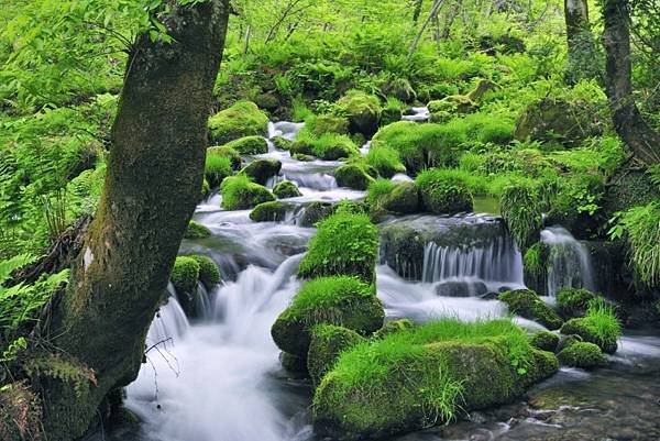 「伯耆富士」鳥取大山