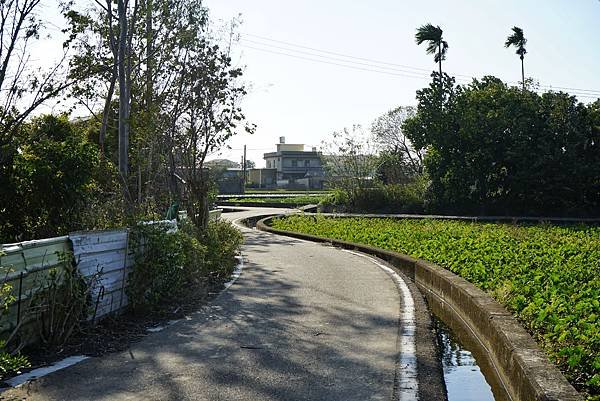 《島內出走》帶著毛小孩徒步苗栗 D4｜錫隘時光隧道。偶然窺見