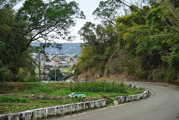 《島內出走》帶著毛小孩徒步苗栗 D4｜錫隘時光隧道。偶然窺見