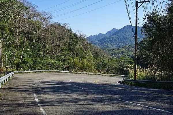 《島內出走》帶著毛小孩徒步苗栗 D4｜錫隘時光隧道。偶然窺見