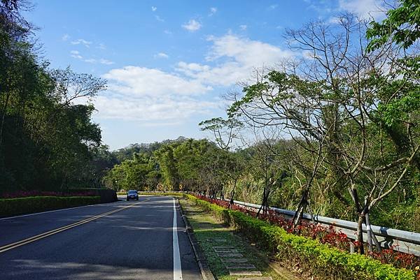 《島內出走》帶著毛小孩徒步苗栗 D4｜錫隘時光隧道。偶然窺見