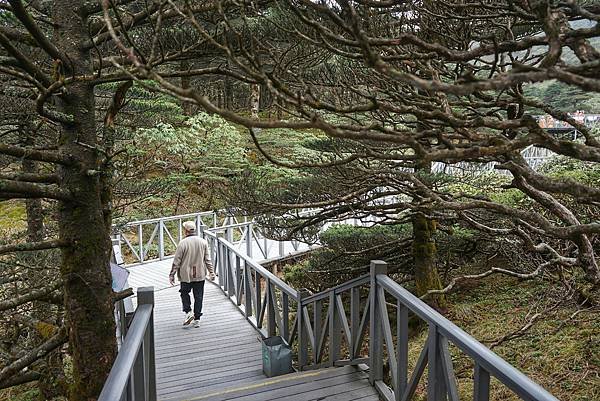 文人墨客的理想邦〈蒼山與洱海〉