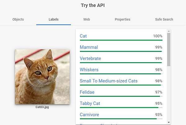 GoogleAPI-標籤偵測.jpg