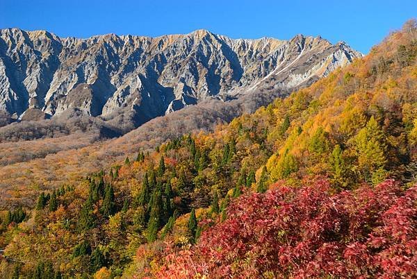 伯耆大山的紅葉