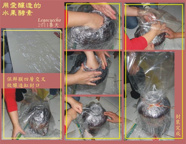酵素07.jpg