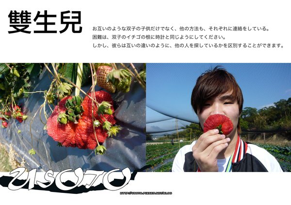 雙生兒拷貝.jpg