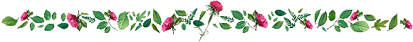 line-126.gif