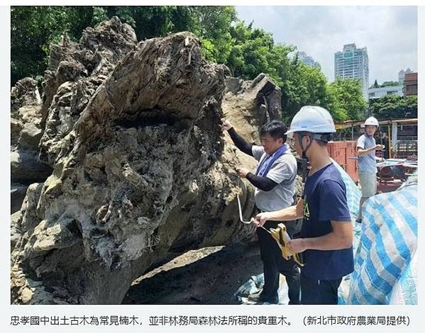 康熙臺北湖/1684~1722「台灣地里圖」《台灣地裡圖》約