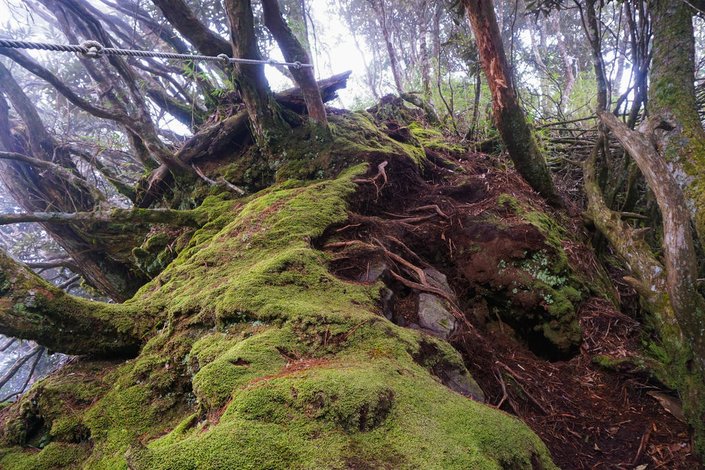 180317 [尖石] 高島縱走：高台山、小島田山、中島田山