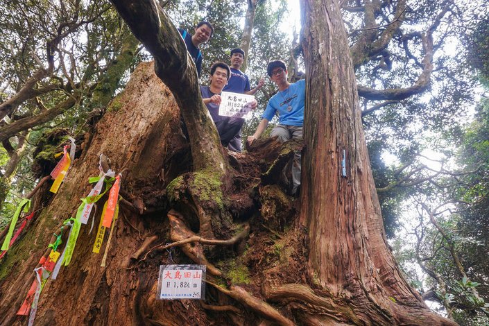 180317 [尖石] 高島縱走：高台山、小島田山、中島田山