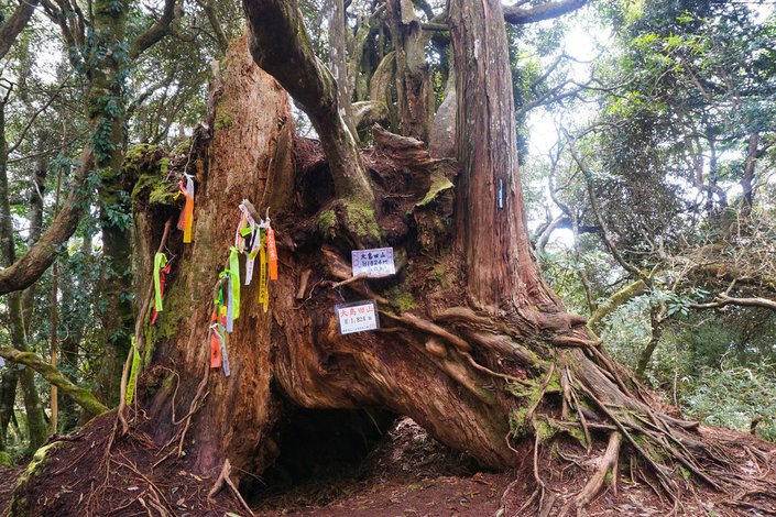 180317 [尖石] 高島縱走：高台山、小島田山、中島田山