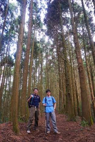 180317 [尖石] 高島縱走：高台山、小島田山、中島田山