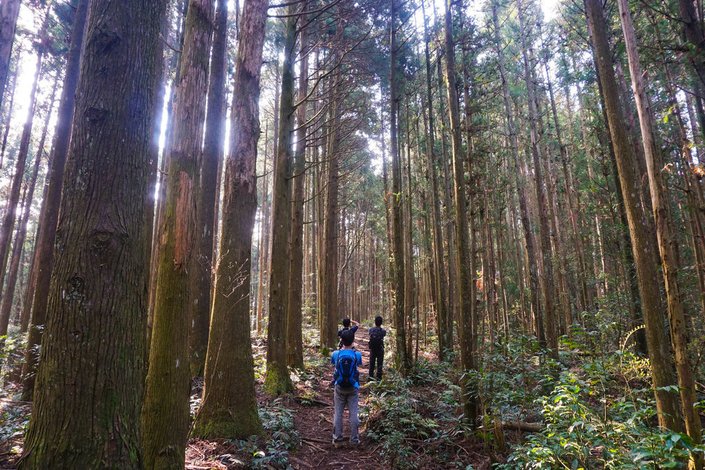 180317 [尖石] 高島縱走：高台山、小島田山、中島田山