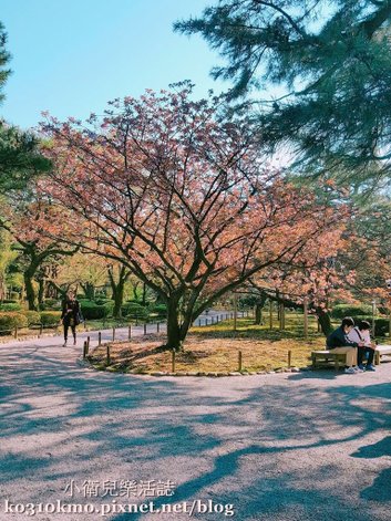 日本兼六園 (8)