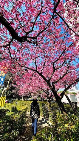 IMG_1181.jpg