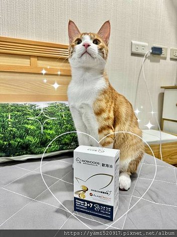 蘑菇生技🤩歐海油 寵物魚油推薦