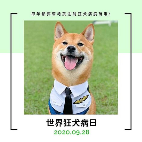 世界狂犬病日.jpg