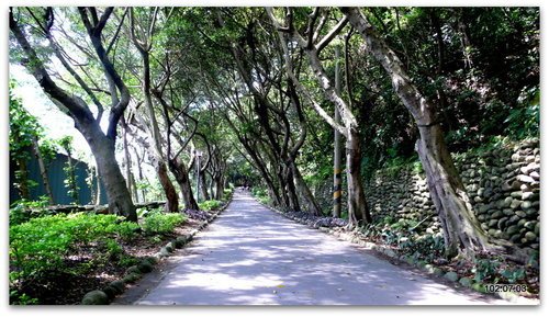 新北新莊 青年公園