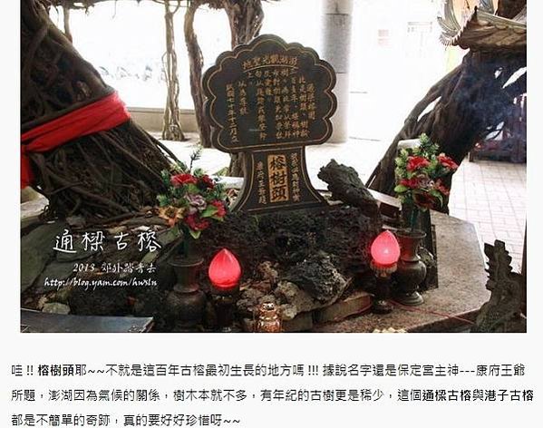 通樑古榕-澎湖最大神木有150-300歲以上的高齡/日治時期